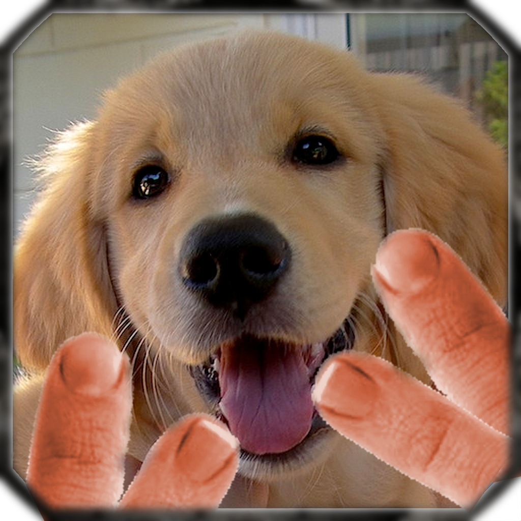 GoldenTwist GoldenTwist